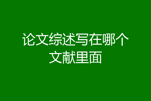 论文综述写在哪个文献里面