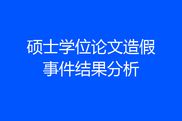 硕士学位论文造假事件结果分析