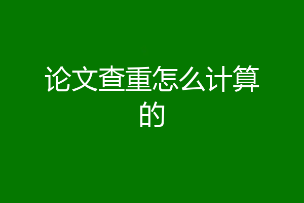 论文查重怎么计算的