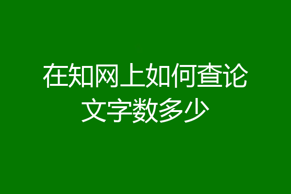 在知网上如何查论文字数多少