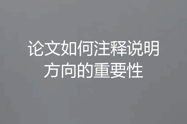 论文如何注释说明方向的重要性