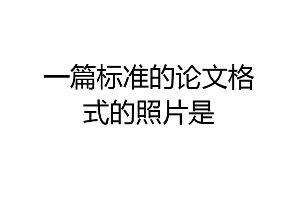一篇标准的论文格式的照片是