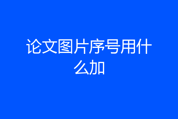 论文图片序号用什么加