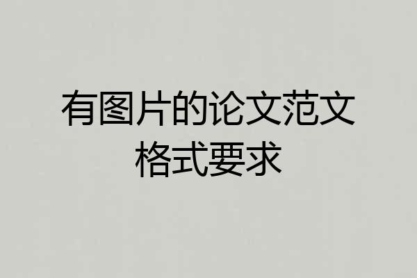 有图片的论文范文格式要求