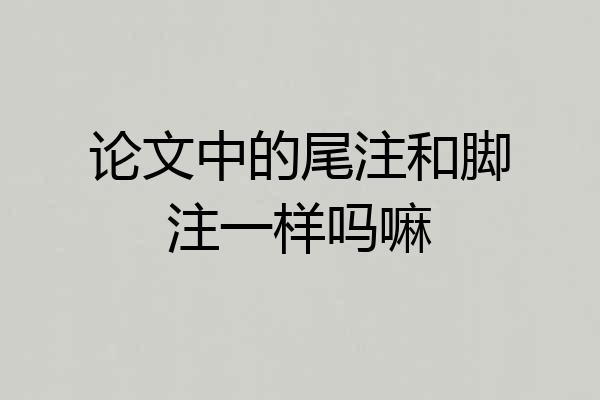 论文中的尾注和脚注一样吗嘛
