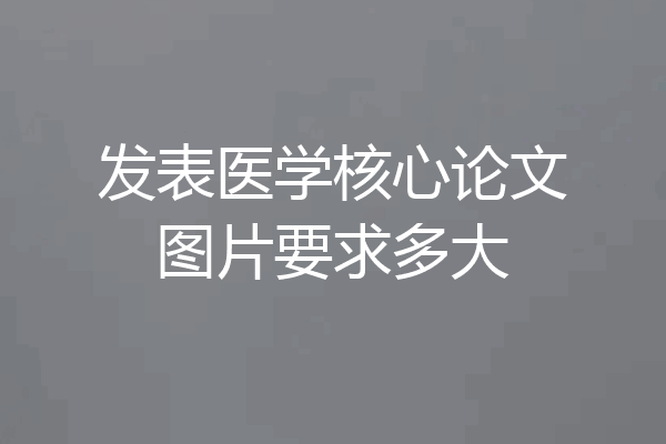 发表医学核心论文图片要求多大