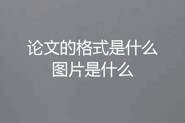 论文的格式是什么图片是什么