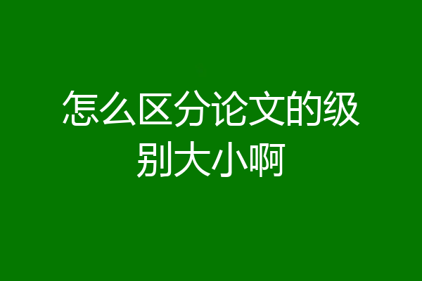怎么区分论文的级别大小啊