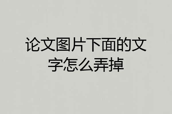 论文图片下面的文字怎么弄掉
