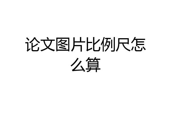论文图片比例尺怎么算