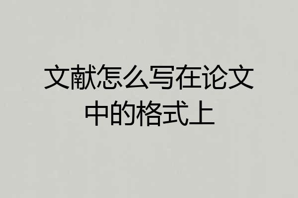 文献怎么写在论文中的格式上