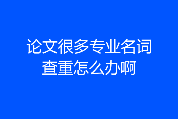 论文很多专业名词查重怎么办啊
