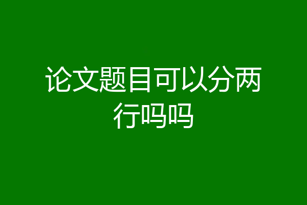 论文题目可以分两行吗吗