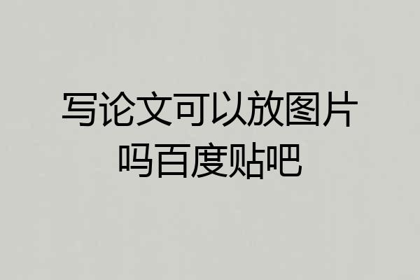 写论文可以放图片吗百度贴吧