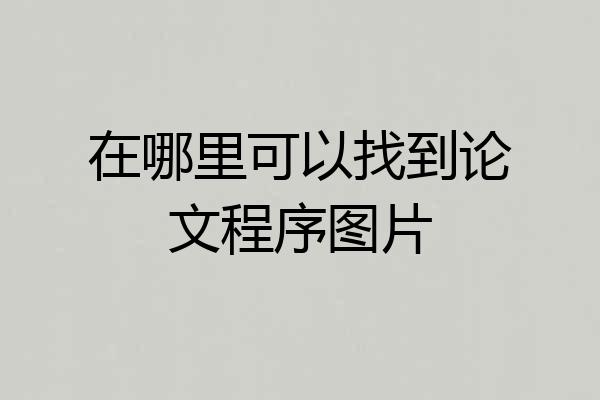 在哪里可以找到论文程序图片