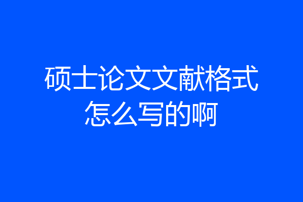 硕士论文文献格式怎么写的啊