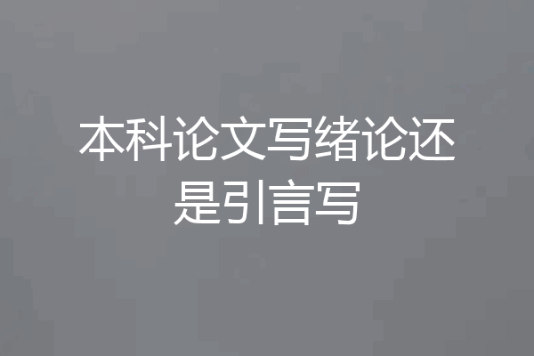 本科论文写绪论还是引言写