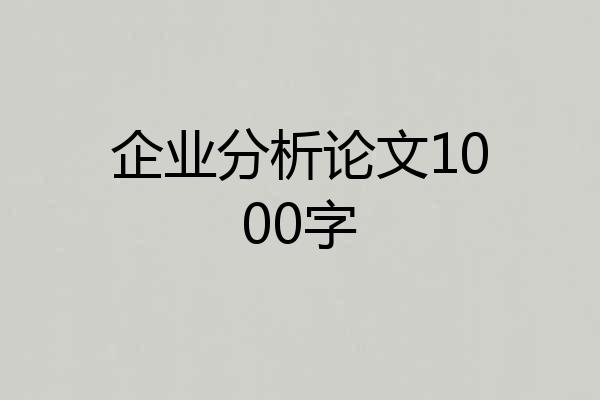 企业分析论文1000字