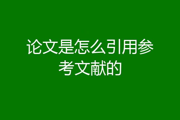 论文是怎么引用参考文献的