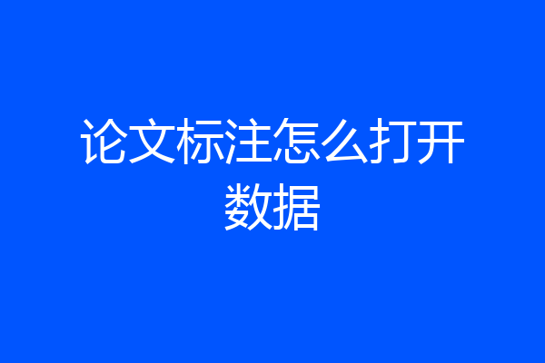 论文标注怎么打开数据