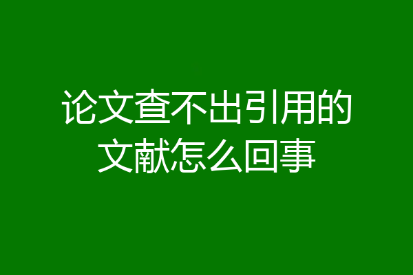 论文查不出引用的文献怎么回事
