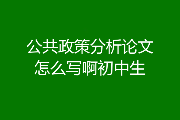公共政策分析论文怎么写啊初中生