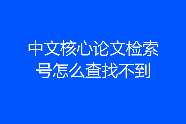 中文核心论文检索号怎么查找不到