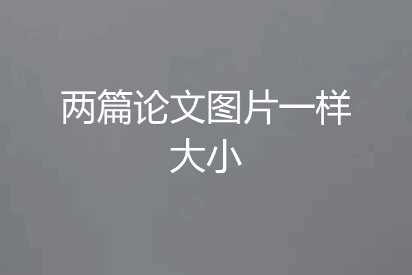两篇论文图片一样大小