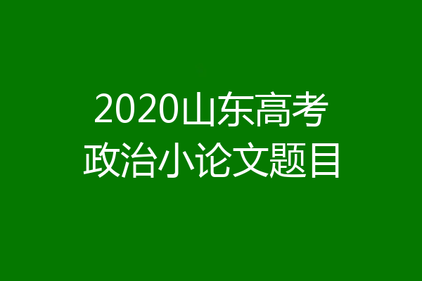 2020山东高考政治小论文题目