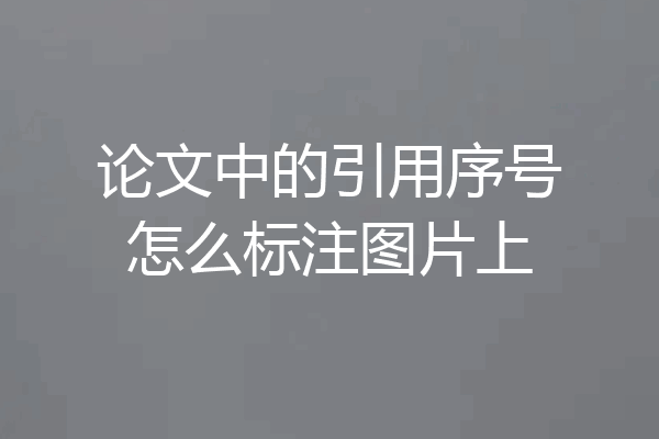 论文中的引用序号怎么标注图片上