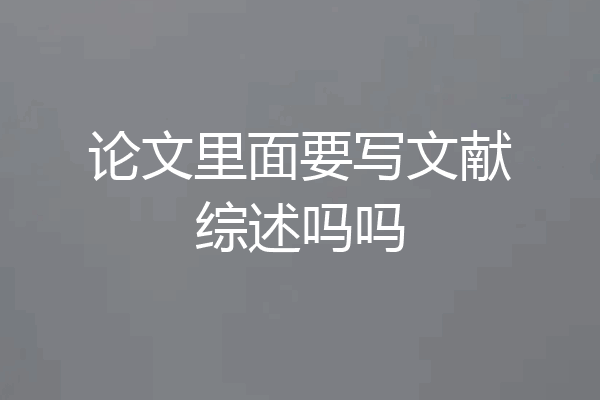 论文里面要写文献综述吗吗