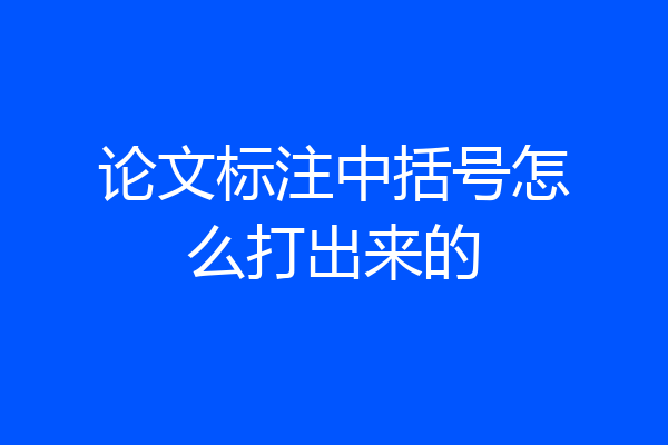论文标注中括号怎么打出来的
