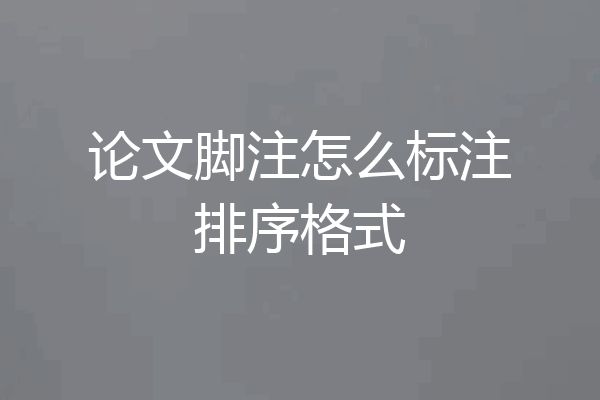 论文脚注怎么标注排序格式