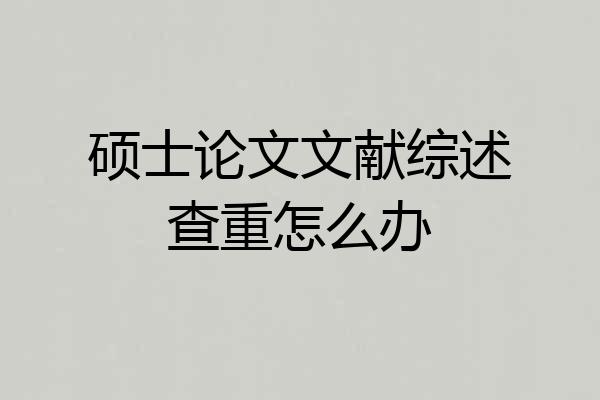 硕士论文文献综述查重怎么办