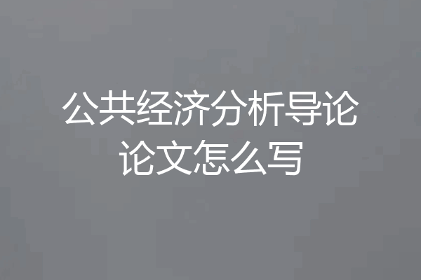 公共经济分析导论论文怎么写