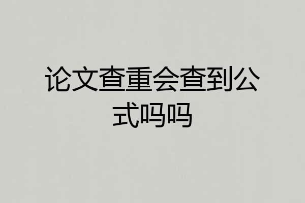 论文查重会查到公式吗吗