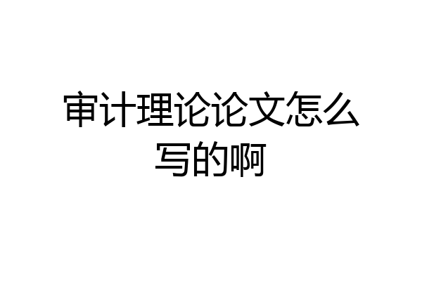 审计理论论文怎么写的啊