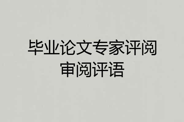 毕业论文专家评阅审阅评语