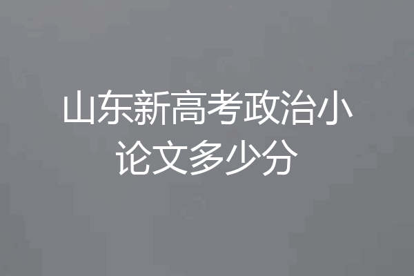 山东新高考政治小论文多少分
