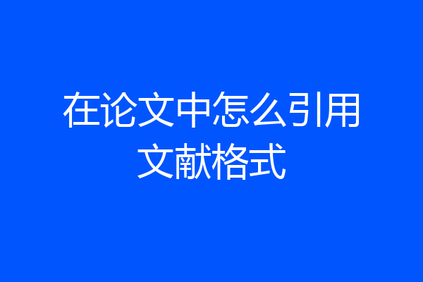 在论文中怎么引用文献格式