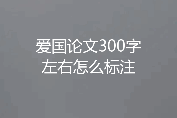 爱国论文300字左右怎么标注