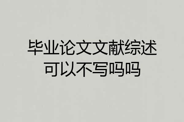 毕业论文文献综述可以不写吗吗