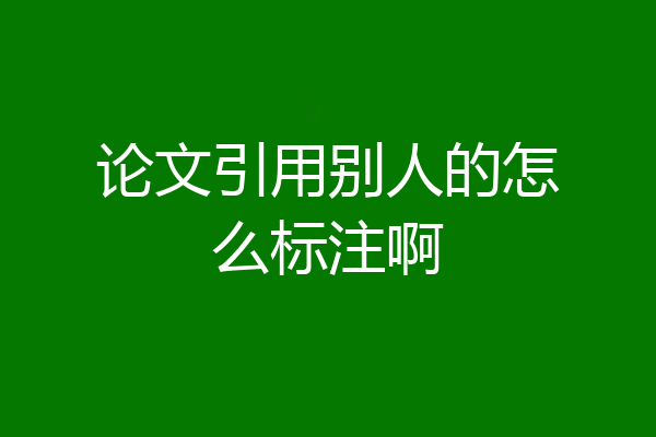 论文引用别人的怎么标注啊