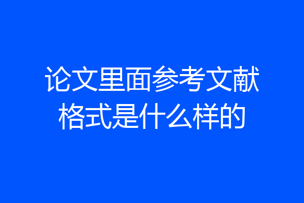 论文里面参考文献格式是什么样的