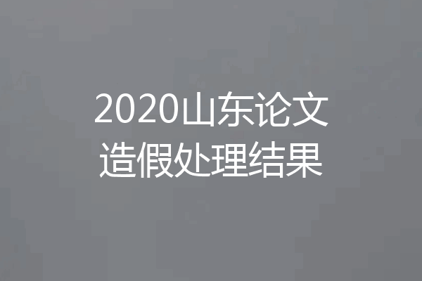 2020山东论文造假处理结果