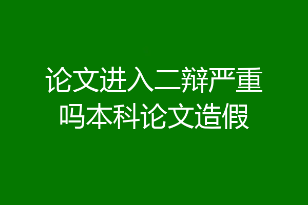 论文进入二辩严重吗本科论文造假