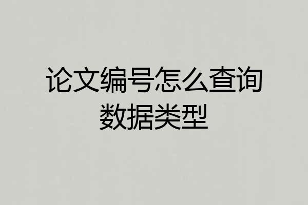 论文编号怎么查询数据类型