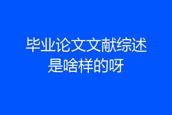 毕业论文文献综述是啥样的呀