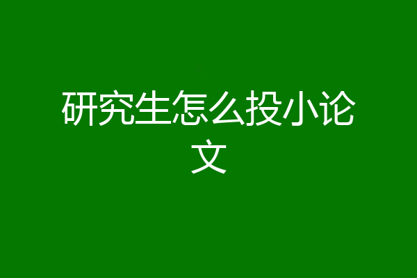 研究生怎么投小论文