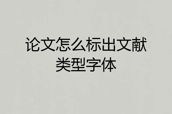 论文怎么标出文献类型字体